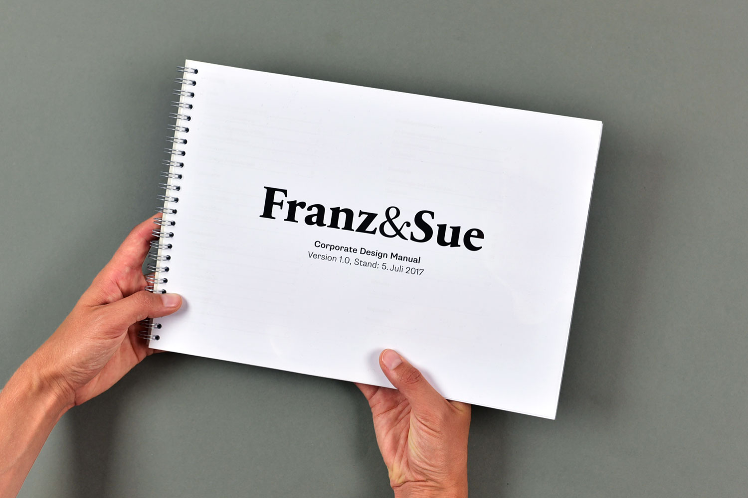 Franz_und_Sue_Manual_Cover