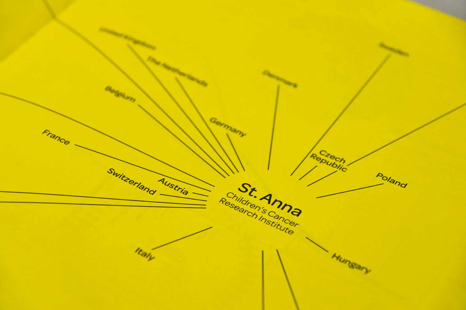 St. Anna Forschungsbericht 2009–2010 Network Detail